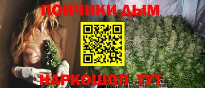 шишки Абакан