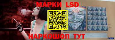 шишки Абакан