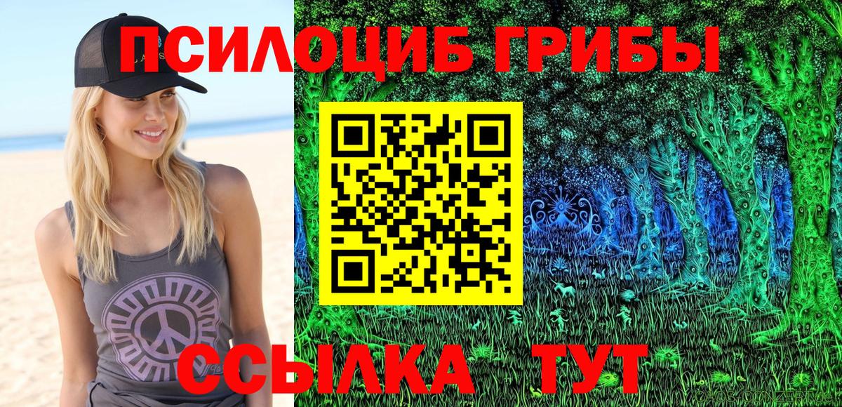 Галлюциногенные грибы мухоморы  Вход с VPN  Алексин  Галлюциногенные грибы прущие грибы 