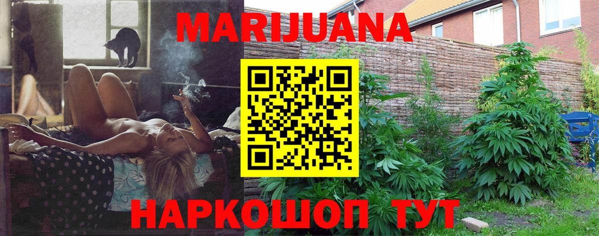 Бошки марихуана план  Бошки марихуана планчик  Канабис тримм  Бошки марихуана SATIVA & INDICA  Алексин  Вход с VPN 